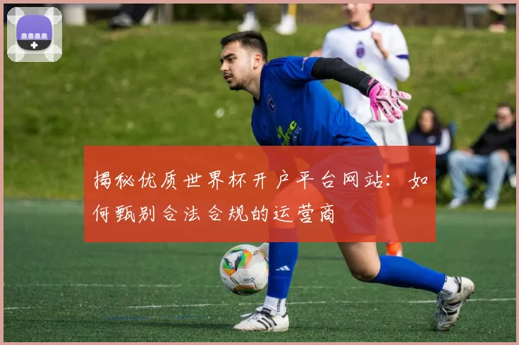 揭秘优质世界杯开户平台网站：如何甄别合法合规的运营商