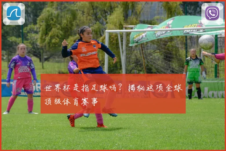 世界杯是指足球吗?揭秘这项全球顶级体育赛事