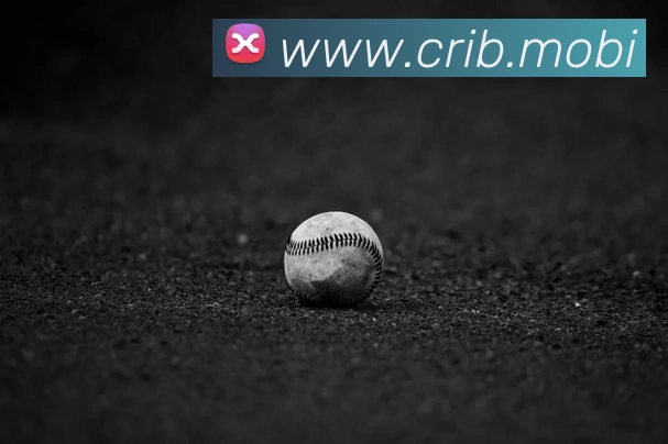 App Interface Preview